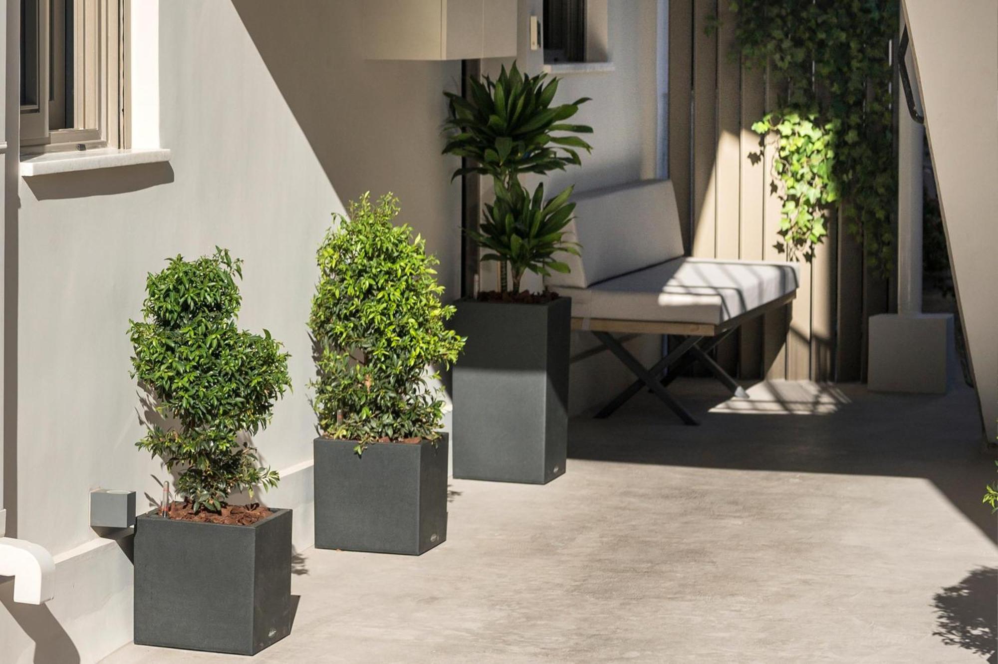 Π Suite Project: Smart BnB Chania  Exterior foto
